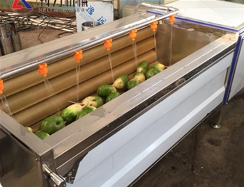 根莖果實清洗去皮清洗機(jī)